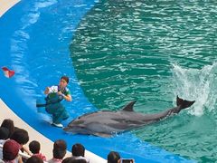 JY̐䂤݂̓mقւ̓eʐ^1