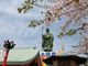 mimiさんの今山大師寺への投稿写真3
