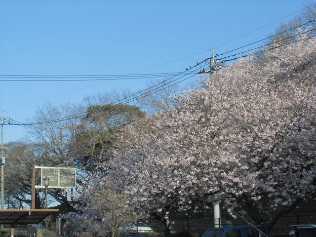 ���g���n�悩��a�z�������ւ̓���_�߂�������̍�