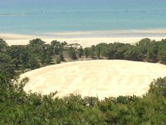 [ooȂK`Guiʕvւ̓eʐ^1