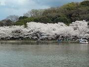 Ђ낳̕ɌΌ̍̓eʐ^3