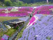 ��������̑哹���ō��̓��e�ʐ^2