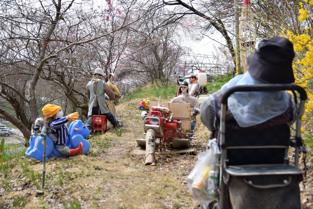 紅枝垂地蔵ザクラ アクセス 営業時間 料金情報 じゃらんnet