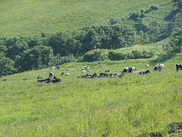 �������_�i�C�^�C�����q��i�C�^�C�e���X