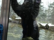 񂺂̃Tz][g@xAE}Ee̓eʐ^1