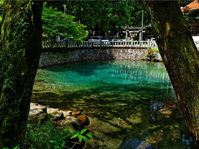 �ʕ{�ٓV�r_�ʕ{�ٓV�r