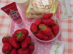 Ȃ邿񂳂Eitoku Farm  y舤`Ƃȁ`zւ̓eʐ^3