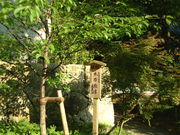 Ԃ񂳂̕󖞋{_Ђ̍̓eʐ^2