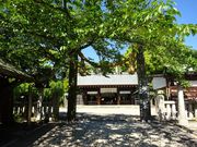 pon񂳂̈ɐRc_{̓eʐ^1