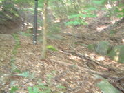 Ԃ񂳂̑ɕ{~уAXb`bNX|[c̓eʐ^3