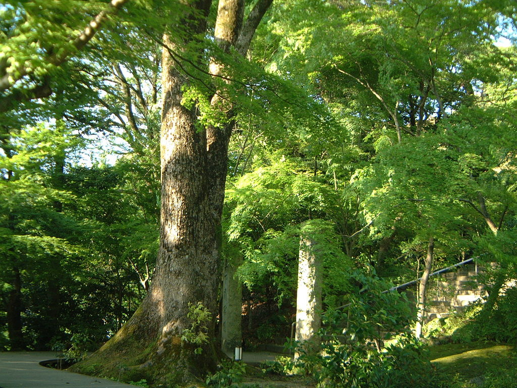 福岡の動物園 植物園ランキングtop10 5ページ目 じゃらんnet