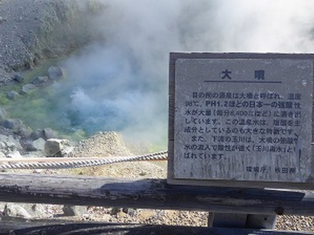 }bN̋ʐ쉷 啬̓eʐ^5