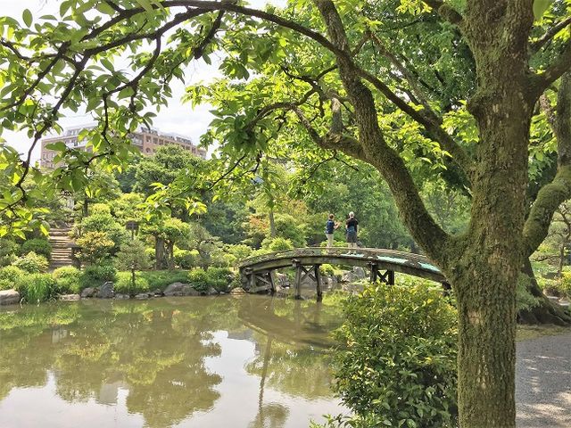 �뉀_�����i�k�k�@�j