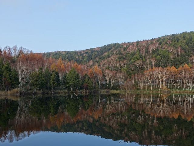 ς񂾂̎uꍂ@،˒rXm[p[N̓eʐ^3