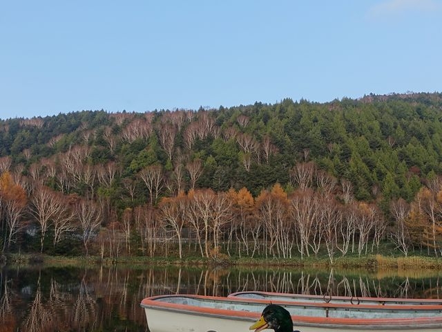 �،˒r4
���ƌ�������񂢂܂�_�u�ꍂ���@�،˒r����X�m�[�p�[�N