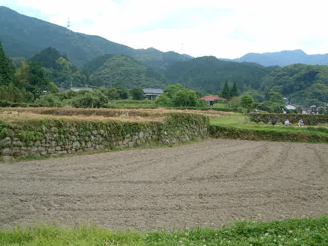 ����̒I�c_�}�O�H���a����