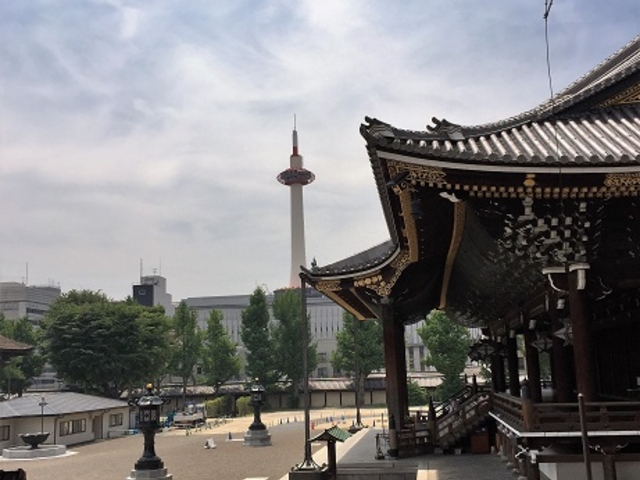 ���{�莛_���{�莛