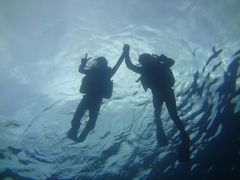 ܂ڂS.E.P.}Nuւ̓eʐ^1