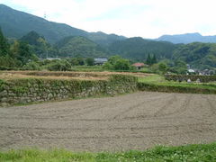 Ԃ񂳂̒}OHaւ̓eʐ^3