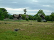 Ԃ񂳂̕ːYՂ̓eʐ^3