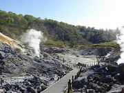 }bN̋ʐ쉷 啬̓eʐ^1