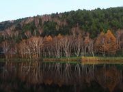 ς񂾂̎uꍂ@،˒rXm[p[N̓eʐ^1