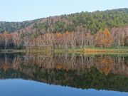 ς񂾂̎uꍂ@،˒rXm[p[N̓eʐ^2