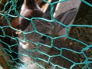 䂱̂ڂ肤ǂ@mn̓eʐ^1