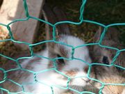 䂱̂ڂ肤ǂ@mn̓eʐ^2