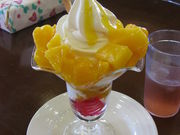 낳́iLj[gsAt@[{Ó̓eʐ^1