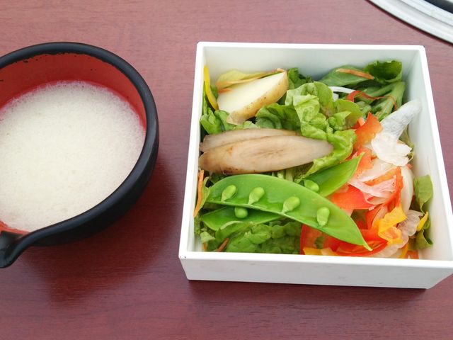 �T���__���̏ē��� �O �O��؉����X