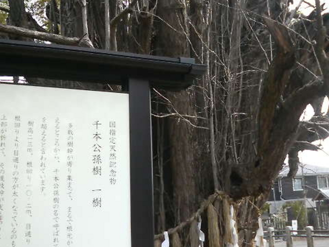 ���A�ꂪ�|�����Ă��Đ_��I�Ȋ����ł��B_���w��V�R�L�O����{������