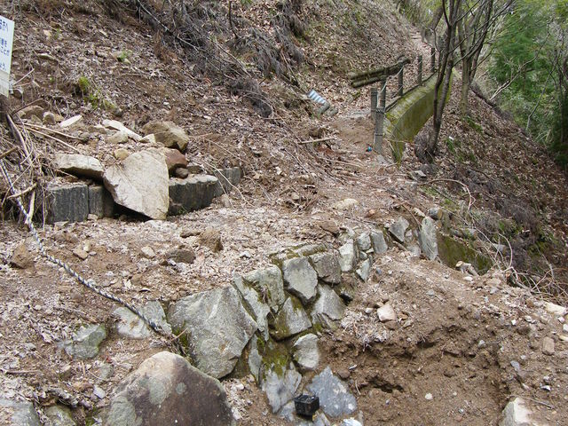 �����r��ʂĂĂ���_������̐��E�V������̐�����