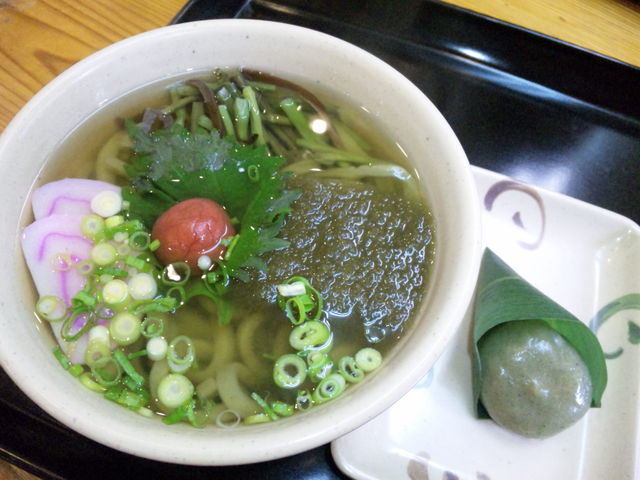 �����ǂ�ƍ��c�q_���̉w�͂�