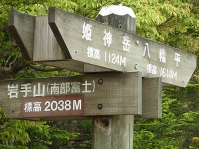 ��茧�E�H�c���E�������A�X�s�[�e���C��_������