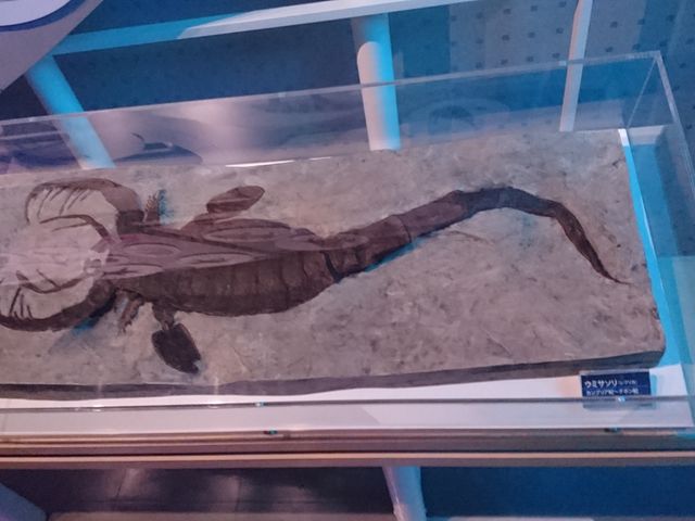 嶍��̎��I�ɂ́A�ƂĂ�������������܂����B
����ȑ傫��嶂��������ƂȂ��̂ŁB_���Í`�[�C�����ف`�V�[���J���X�E�~���[�W�A���`