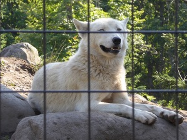 �k�C������s�E���R������ (����)_���R������