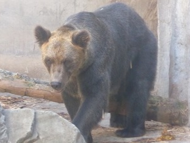 �k�C������s�E���R������ (��޸�)_���R������