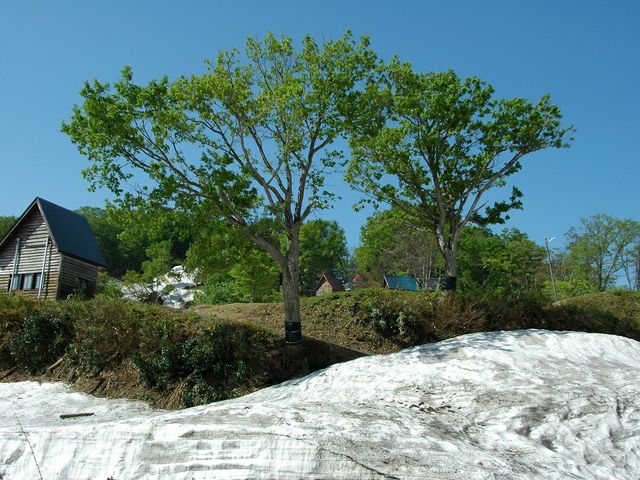 2006.5.27 8:30AM_�匵�������L�����v��