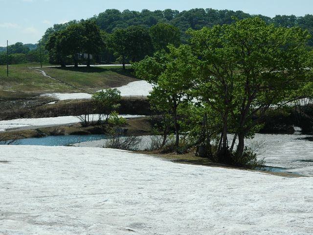 2006.5.27 8:30AM_�匵�������L�����v��