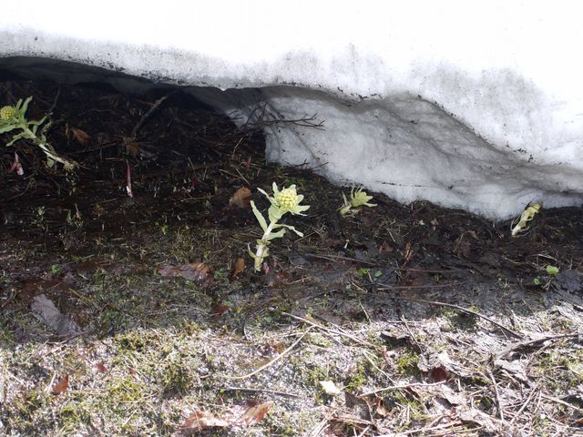 2006.5.27 8:30AM_�匵�������L�����v��