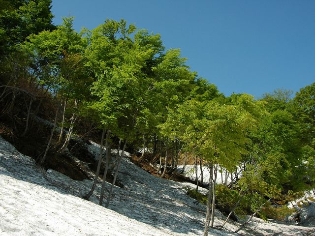 2006.5.27 8:30AM_�匵�������L�����v��