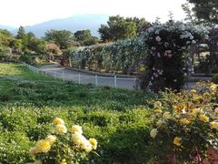 C̎Rt[Z^[EnCW̑ւ̓eʐ^1