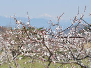 ItFEX̂񂸂̗̓eʐ^1