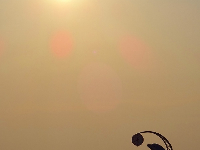 �����[���ł��s���x�ɕ\��ς��܂��B
5���͏t���̂��������K�x�m���������E�E�E_�m�V���b�v��