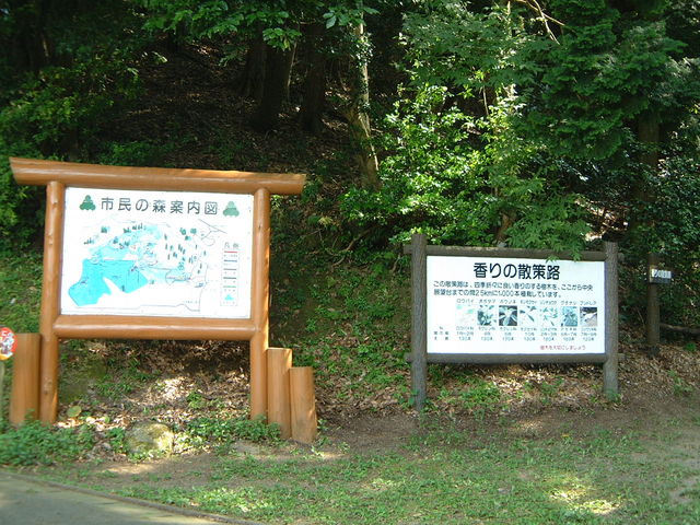 �ē���_���R�s���̐X