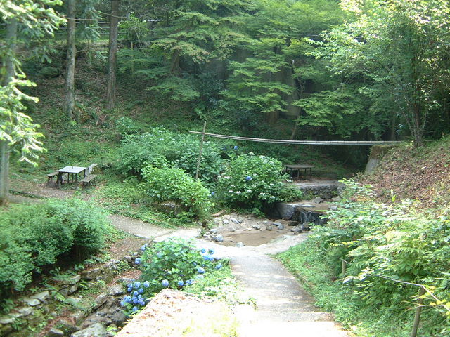 ���̐X_���R�s���̐X