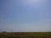 т񂳂̃GTkJԉ̓eʐ^1