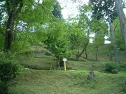 Ԃ񂳂̖Rs̐X̂̓eʐ^2