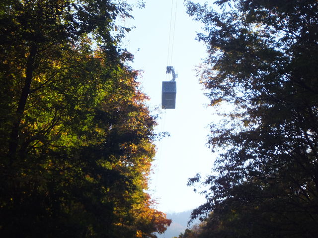 ���[�v�E�F�C_������R���[�v�E�F�C